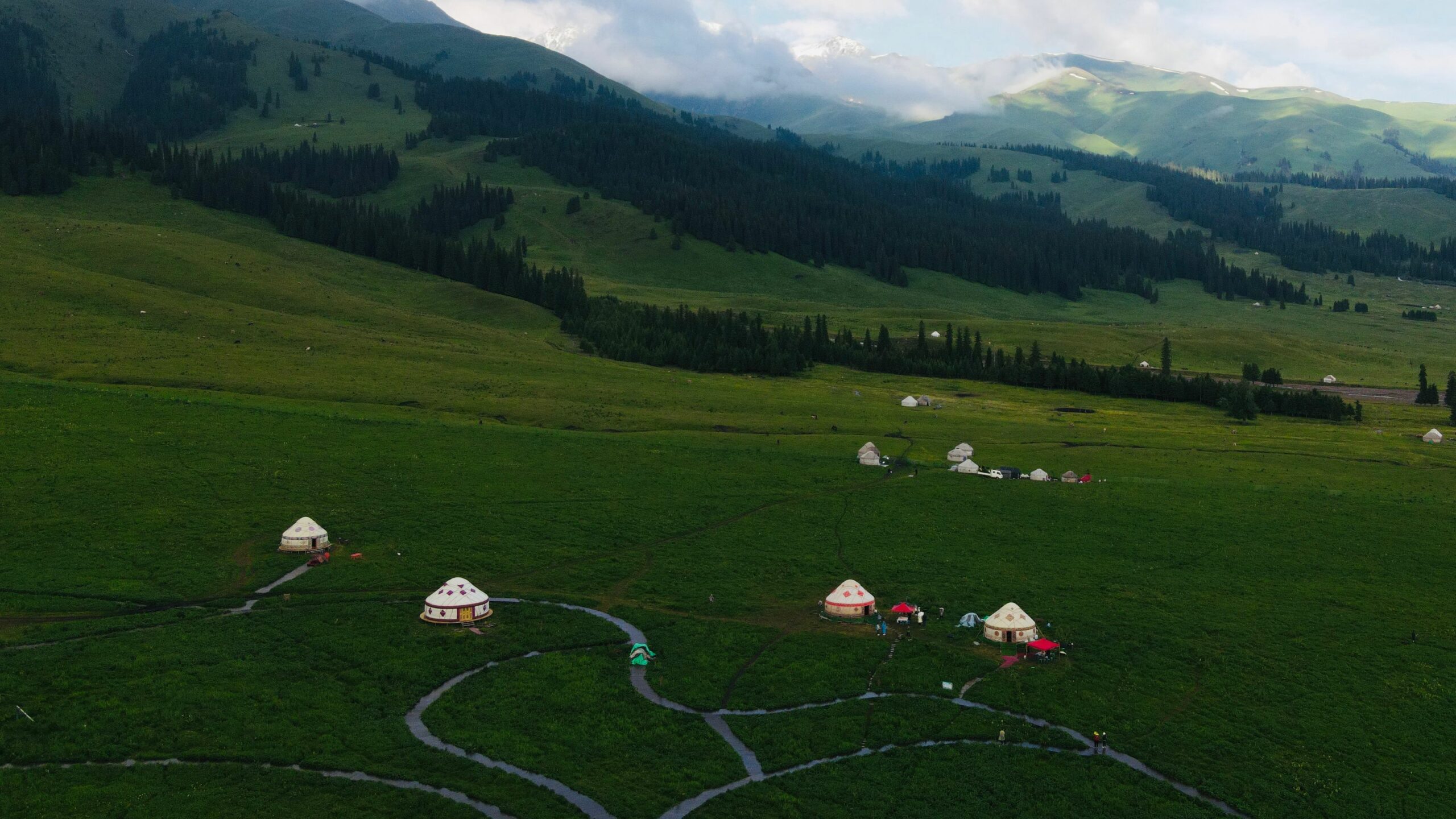 Yourte sur plancher bois dans une prairie, hébergement insolite en location saisonnière